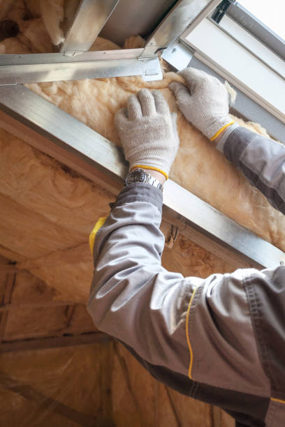 Best Residential Insulation in Timonium, MD