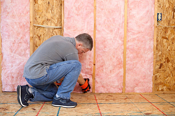 Types of Insulation We Offer in Timonium, MD