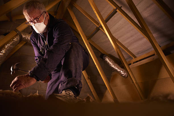 Best Geographic-Specific Insulation Services in Timonium, MD